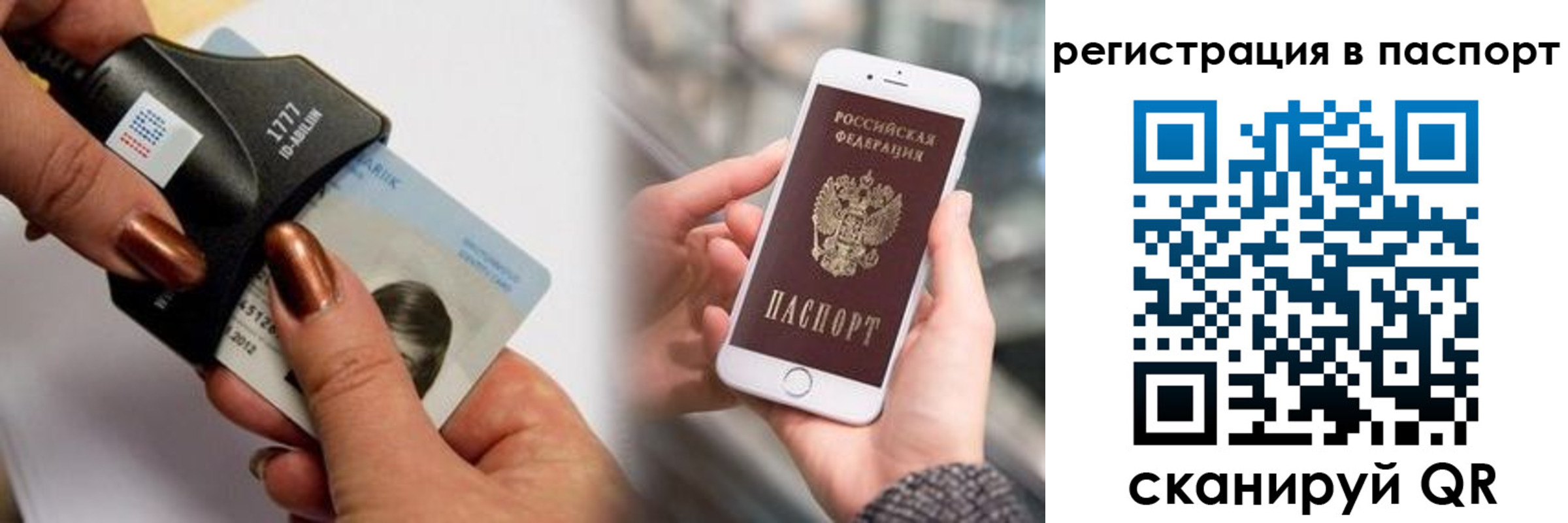найти адрес прописки в Брянской области